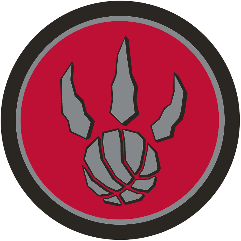 Toronto Raptors 2011-2015 Alternate Logo v2 DIY iron on transfer (heat transfer)